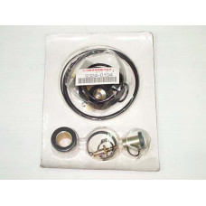 Hydromaster Repair Kit Pedal for used with Isuzu VPR